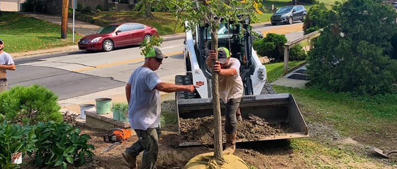 Planting with Bob