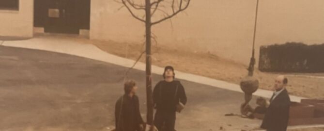 50 years in landscaping