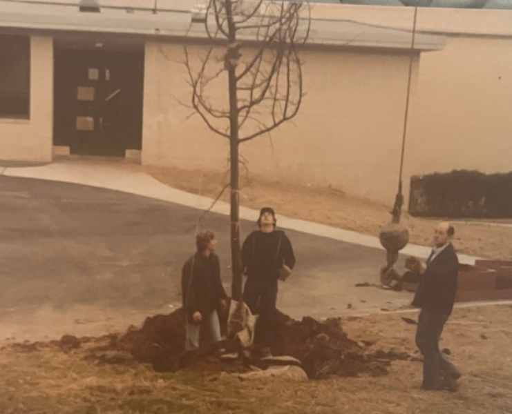 50 years in landscaping