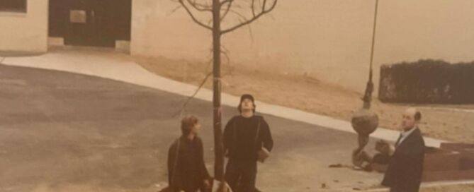 50 years in landscaping