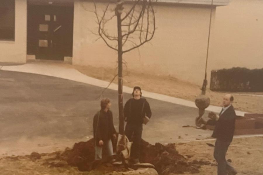 50 years in landscaping